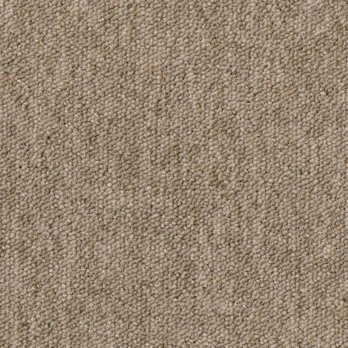 Beige Mocha