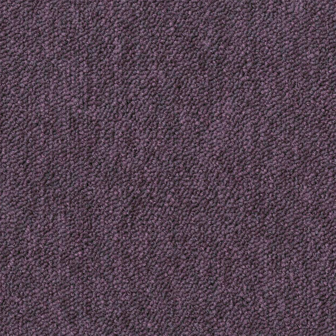 Morado Berenjena