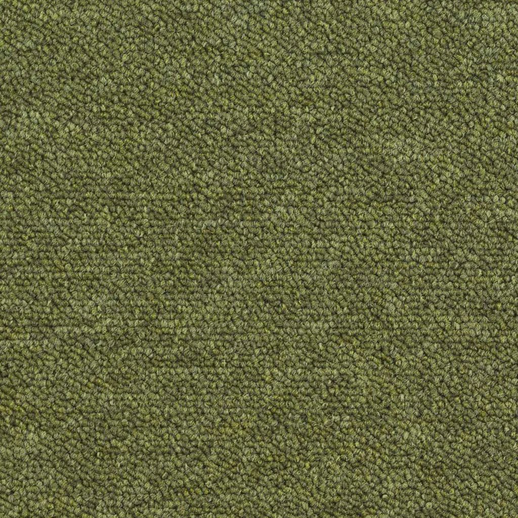 Verde Musgo
