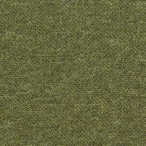 Verde Musgo