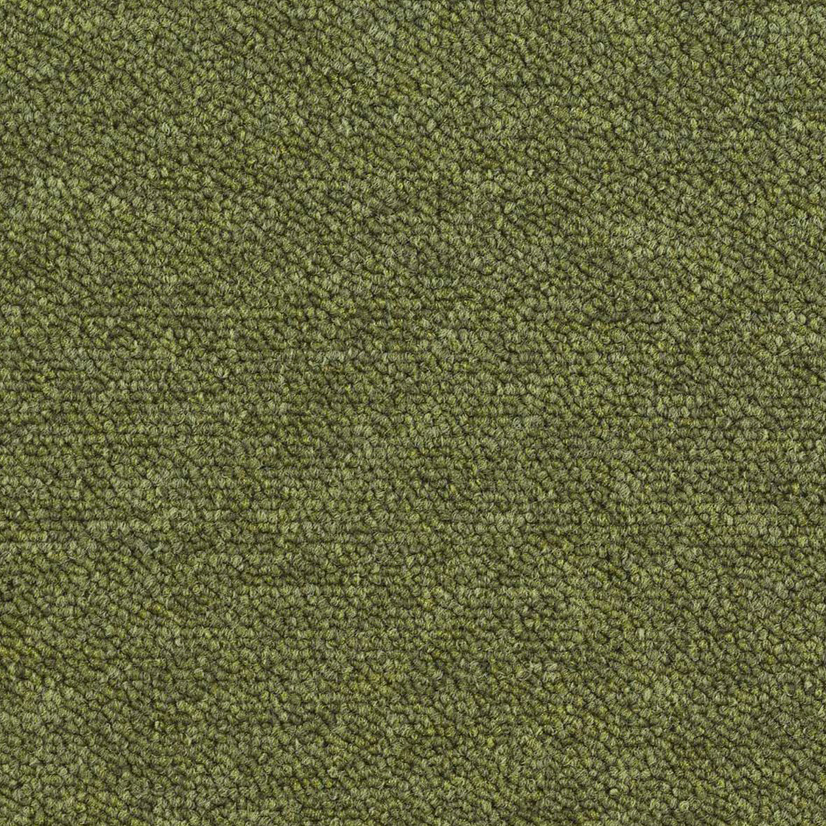Verde Musgo