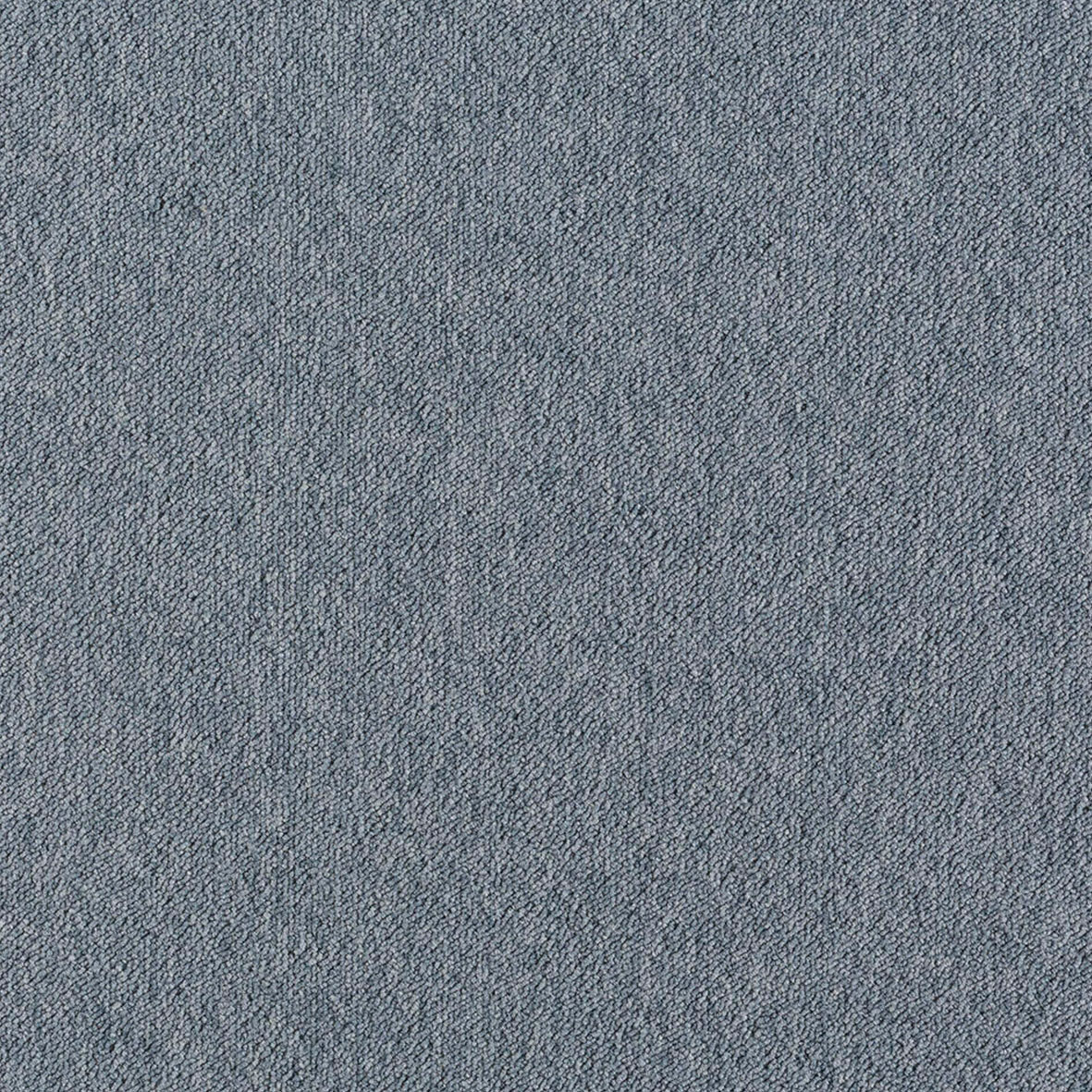 Gris Lobo
