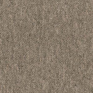 Beige Tierra