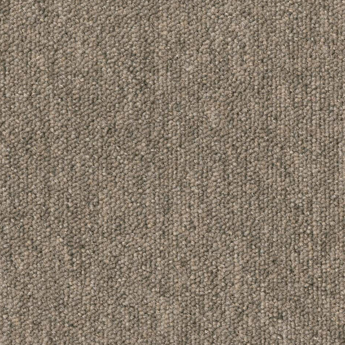Beige Tierra