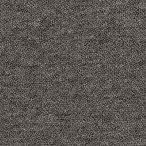 Gris Koala