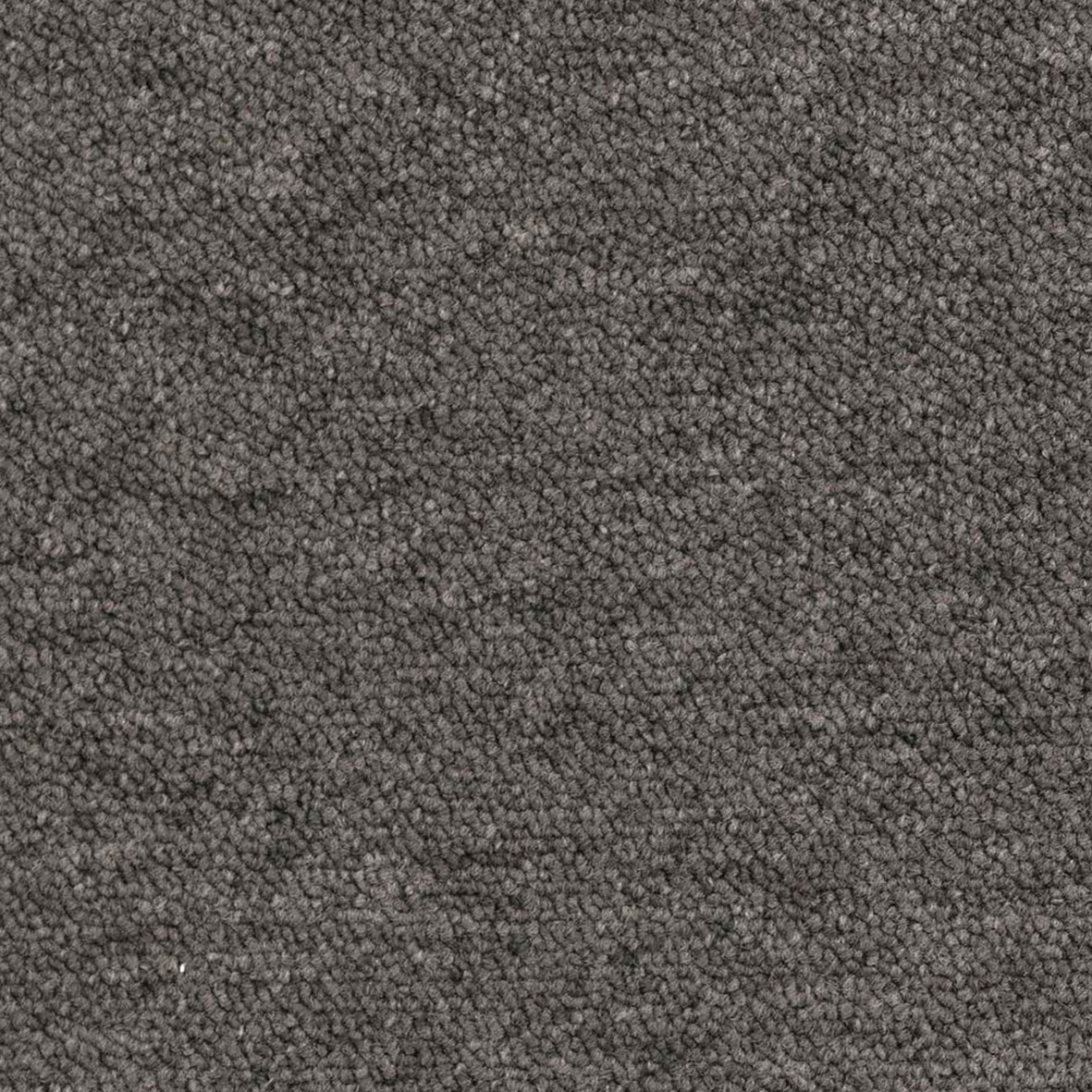 Gris Koala