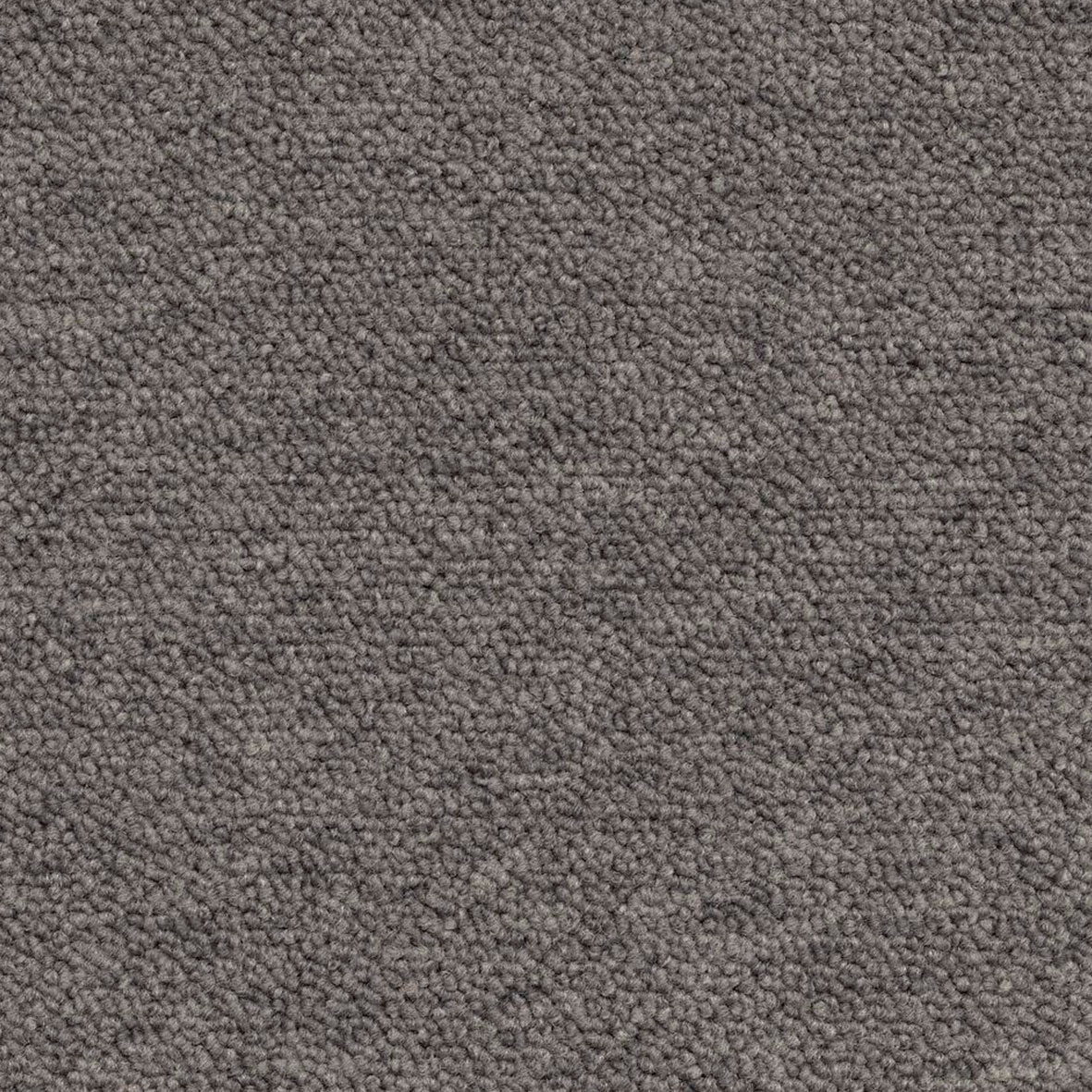 Gris Cálido