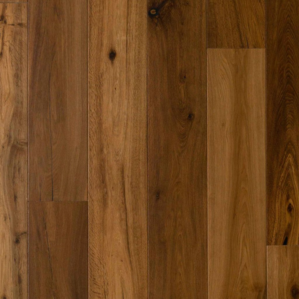 Toro